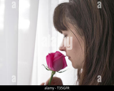 Bruna giovane donna lo sniffing una rosa in piedi dalla finestra Foto Stock
