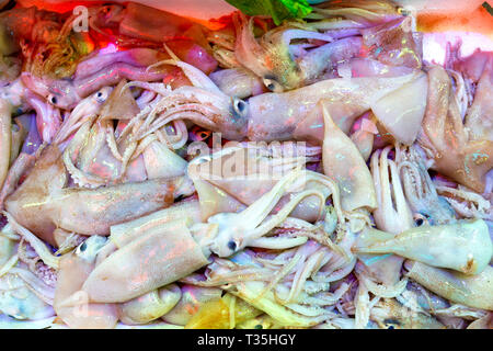 Primo piano vista strutturata di calamari sul mercato. Tubi di calamari sono noti con il popolare nome italiano calamari. Foto Stock