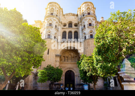 Cattedrale di incarnazione di Malaga, in Spagna nel giardino del sole Foto Stock