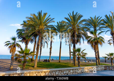 Malaga spiaggia con palme di Playa de La Carihuela, Torremolinos Costa del Sol Occidental, Malaga, Andalusia, Spagna Sole Foto Stock