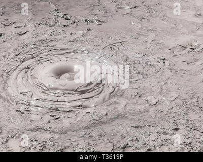 Immagine ravvicinata di uno spessore di fango bollente piscina vicino a Rotorua Foto Stock