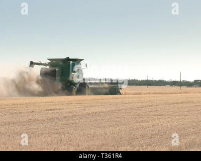 Una mietitrebbia che si allontana dalla telecamera su un wa fattoria di grano Foto Stock