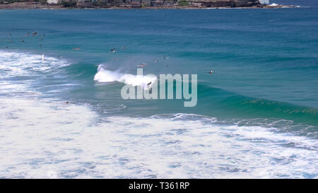 Un surfista cavalca un wave a bondi beach, Australia la famosa spiaggia Foto Stock