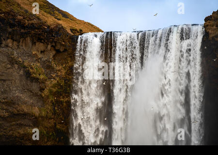 Skógafoss è uno di Islanda il più grande e più belle cascate con una straordinaria larghezza di 25 metri (82 piedi) e una goccia di 60 metri (197 piedi) Foto Stock