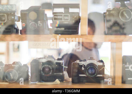 Los Angeles, CA / STATI UNITI D'America - 8 Giugno 2018: all'interno di una videocamera shop nel centro di Los Angeles, con Pentax, Canon, Nikon, e Polaroid sul display. Foto Stock