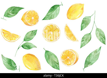 Acquarello dipinto a mano Collezione di limone. Può essere utilizzato per la stampa e la decorazione. Foto Stock