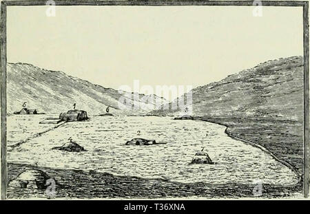 "Isola am Beginn des 20 Jahrhunderts;" (1904) Foto Stock