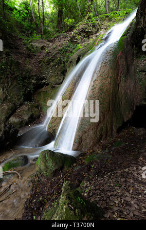 La cascata nel bosco in un pallido (Umbria, Italia) Foto Stock