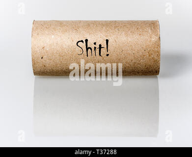 Svuotare loo roll Foto Stock