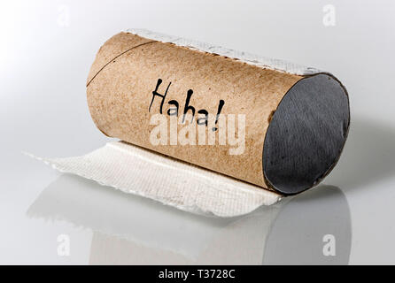 Svuotare loo roll Foto Stock