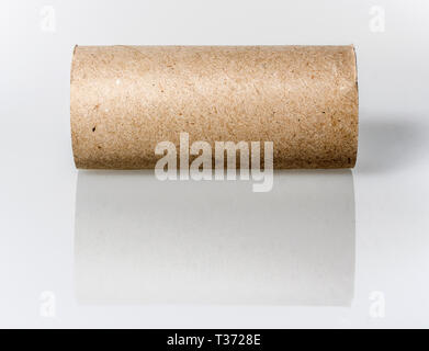 Svuotare loo roll Foto Stock