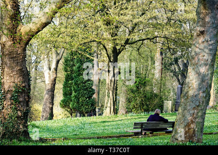 Scilla Blütenfest Das Blaue Wunder auf dem Lindener Berg Foto Stock