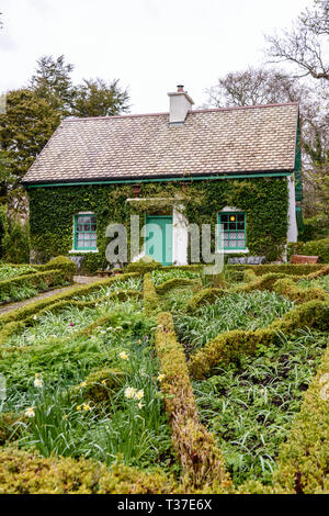 Piccolo grazioso cottage irlandese, con un curatissimo giardino con siepi di bosso. Foto Stock