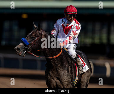 Arcadia, Ca, Stati Uniti d'America. 7 apr, 2019. Aprile 06, 2019: Roadster con Mike Smith vince il Santa Anita Derby al Santa Anita Park in aprile 06, 2019 in Arcadia, California. Evers/Eclipse Sportswire/CSM/Alamy Live News Foto Stock