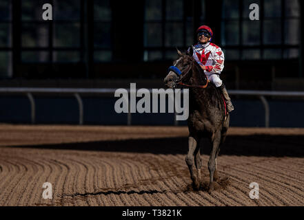 Arcadia, Ca, Stati Uniti d'America. 7 apr, 2019. Aprile 06, 2019: Roadster con Mike Smith vince il Santa Anita Derby al Santa Anita Park in aprile 06, 2019 in Arcadia, California. Evers/Eclipse Sportswire/CSM/Alamy Live News Foto Stock