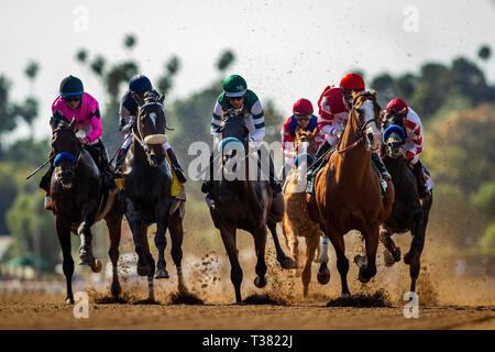 Arcadia, Ca, Stati Uniti d'America. 7 apr, 2019. Aprile 06, 2019: Il campo per la Santa Anita Derbyraces a Santa Anita Park in aprile 06, 2019 in Arcadia, California. Evers/Eclipse Sportswire/CSM/Alamy Live News Foto Stock