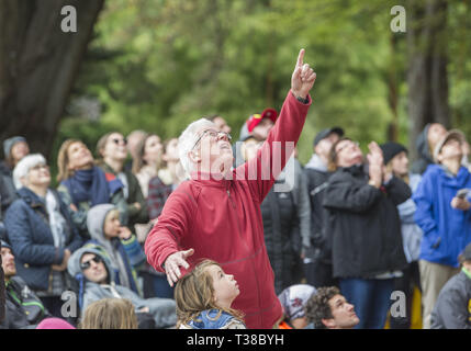 Christchurch, Canterbury, Nuova Zelanda. 7 apr, 2019. Spettatori gru il loro collo per assistere i partecipanti nella regione Asia-Pacifico Tree Climbing Master sfida campionati in Christchurch Botanic Gardens. I concorrenti vie in una serie di test di agilità, velocità e abilità. Credito: PJ Heller/ZUMA filo/Alamy Live News Foto Stock