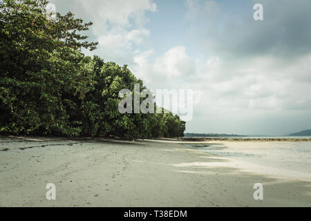 Spiaggia con sabbia bianca e vegetazione. Jungle sull'isola. Il Havelock island nelle Andamane e Nicobar Foto Stock