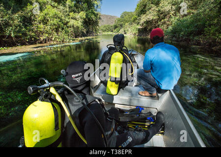 Immersioni nel fiume Sucuri, Pantanal, Mato Grosso do Sul, Brasile Foto Stock