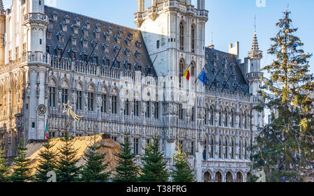 La Bruxelles Municipio con albero di Natale e mercato davanti. Foto Stock