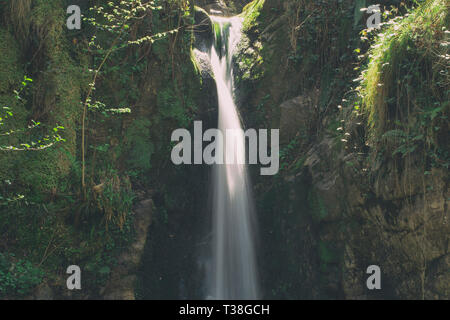 Una cascata nel bosco Foto Stock