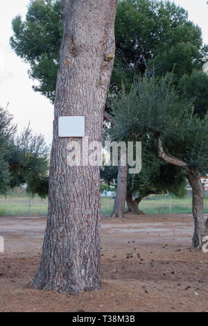 Tabellone bianco legato in un tronco di albero in una vendita sul tracciato per lo sviluppo di alloggiamento Foto Stock