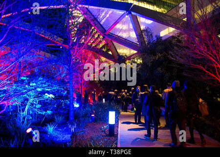 Canary Wharf Winter Festival luci 2019 a Crossrail Place, Londra, Regno Unito Foto Stock