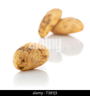 Fresche raccolte suolo organico patate isolati su sfondo bianco Foto Stock