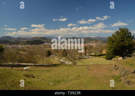 Un cavallo bianco in un campo con le montagne alle spalle, a Olot, ai piedi dei Pirenei spagnoli. Foto Stock