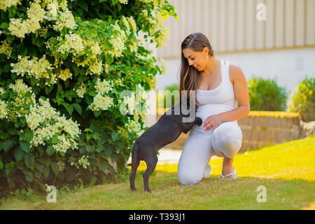 Sorridente donna incinta con una grande pancia gioca con il suo cane in giardino Foto Stock