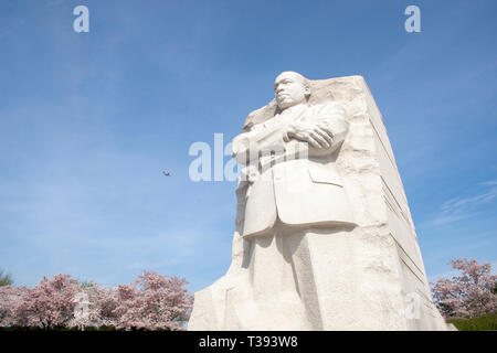 Lunghezza 3/4 vista della statua di Martin Luther King Jr., a MLK Memorial a Washington, DC. Foto Stock