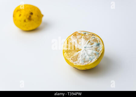 Alla moda di brutto limoni organico su sfondo bianco Foto Stock