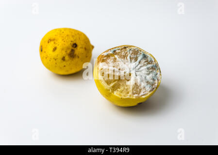 Alla moda di brutto limoni organico su sfondo bianco Foto Stock