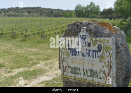 Monte da Ravasqueira cantina in Arraiolos, Portogallo Foto Stock