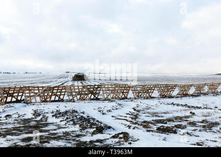 Fotografato nel complesso campo agricolo in cui recinti di legno per la neve sono installati. Foto Stock