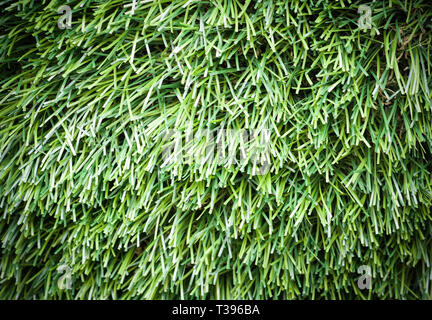 Verde erba artificiale texture con vignette. close-up, sfondo. Foto Stock