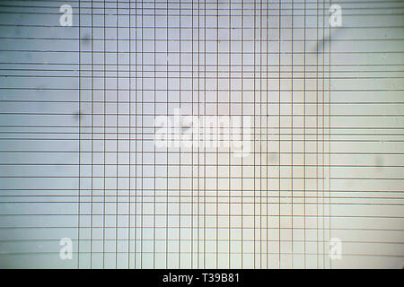 Vista microscopica della camera di Thoma grid Foto Stock