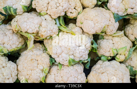 Gruppo di cavolfiori con foglie di colore verde Foto Stock