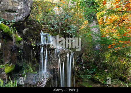 Una piccola cascata sul pendio di una collina dal Afon Llugwy (Fiume) Llugwy, vicino a Betws-y-Coed, il Galles del Nord. Foto Stock