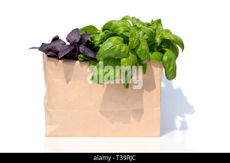 Confezione di carta di verdure set. Il basilico e le foglie di menta. Isolato su bianco Foto Stock