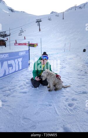 Incredibile pastore australiano cane nella neve verticale (bella occhi), Tignes, Francia. Foto Stock