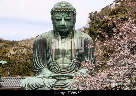 Il Grande Buddha (Daibutsu) adducendo il motivo del tempio Kotokuin a Kamakura, Giappone Foto Stock