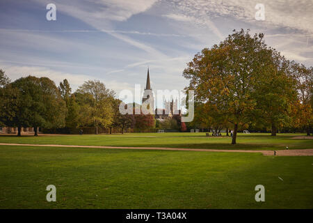 Cambridge, Regno Unito - dicembre, 2018. Il Paddock, dello spazio verde tra gli alberi del Downing College. La chiesa sulla skyline è su Lensfield Road. Foto Stock