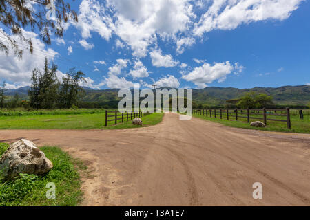 Strade di campagna attraverso Dillingham Ranch in Hawaii Foto Stock