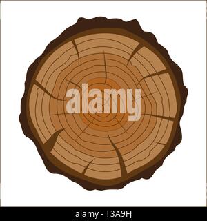 Sezione trasversale del ceppo di albero o tronco. Taglio di legno. Illustrazione Vettoriale in stile piatto Illustrazione Vettoriale