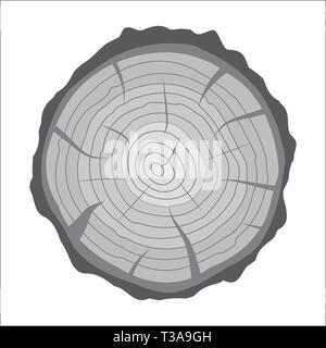 Sezione trasversale del ceppo di albero o tronco. Taglio di legno. Illustrazione Vettoriale in stile piatto Illustrazione Vettoriale