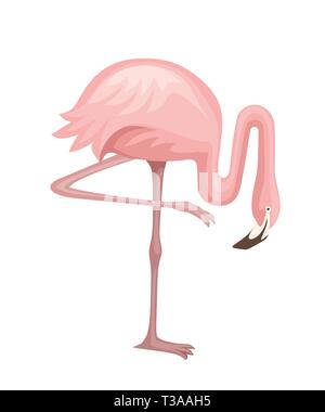 Graziosi animali, pesca fenicottero rosa. Animali Cartoon character design. Piatto illustrazione vettore isolato su sfondo bianco. Flamingo in piedi su una gamba Illustrazione Vettoriale