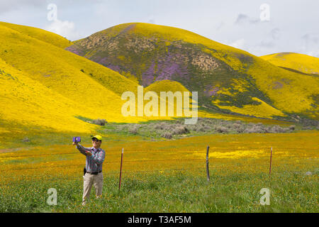 Visitatori sosta per foto di fiori selvaggi super fioriscono lungo la banchina di autostrada 58 appena fuori la Carrizo plain ,San Luis Obispo County, California Foto Stock