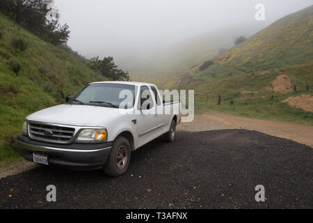 White Ford F150 pickup truck parcheggiato a fianco di un affluenza alle urne su una strada Foto Stock