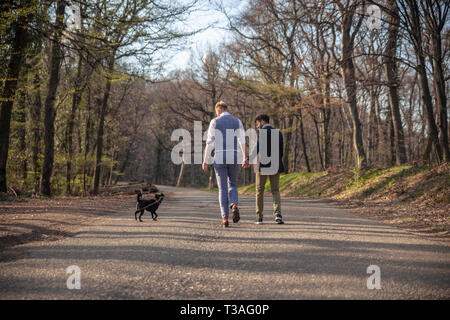 Vista posteriore, due gay uomo a camminare nella foresta, su strada asfaltata. Insieme tenendo le mani. Il loro cane cucciolo nelle vicinanze. Foto Stock